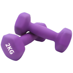 2kg Hand Weights Exercise / Fitness Dumbbells (set of 2)